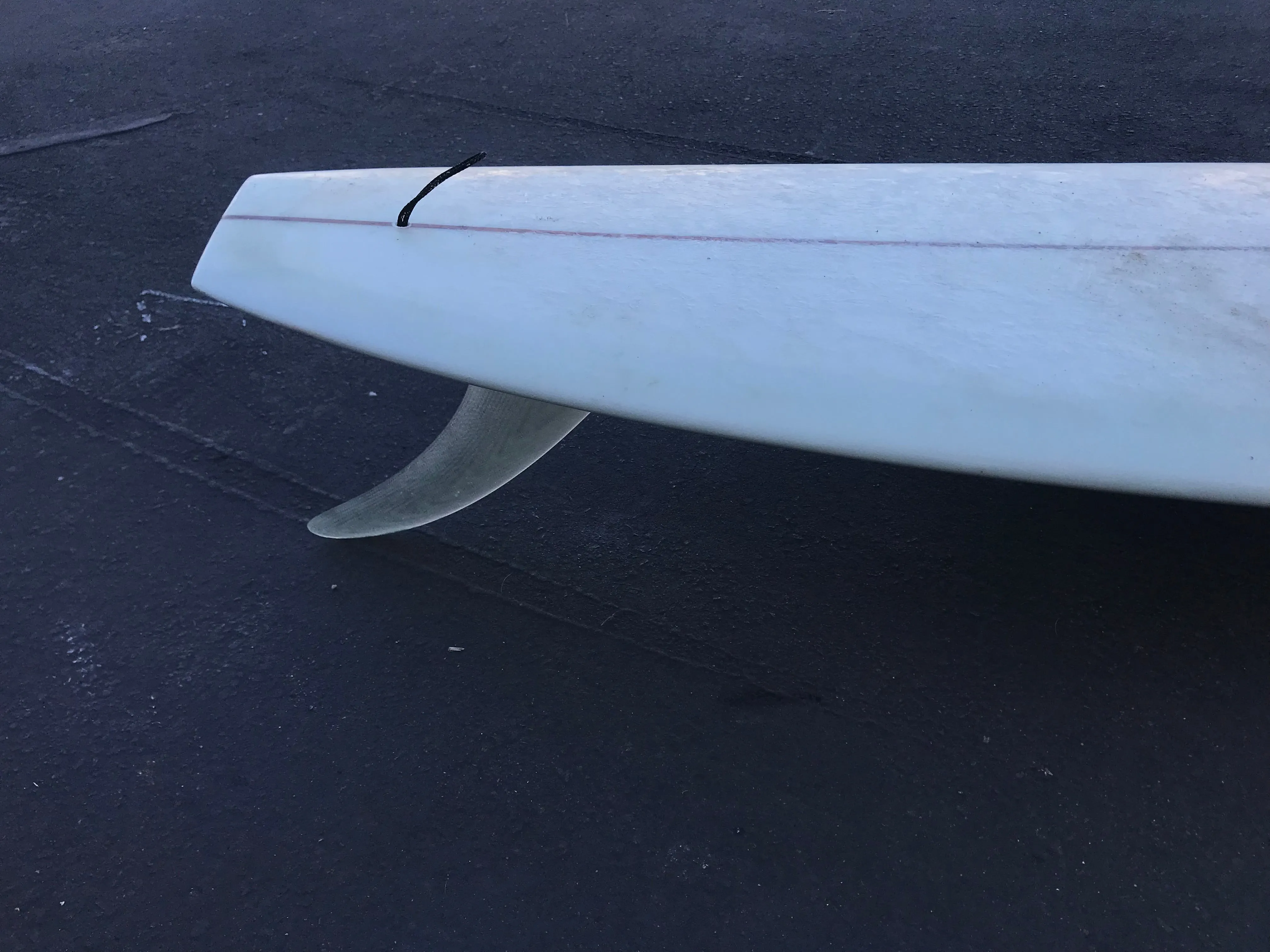 9'5" Dead Kooks Noserider (Used)