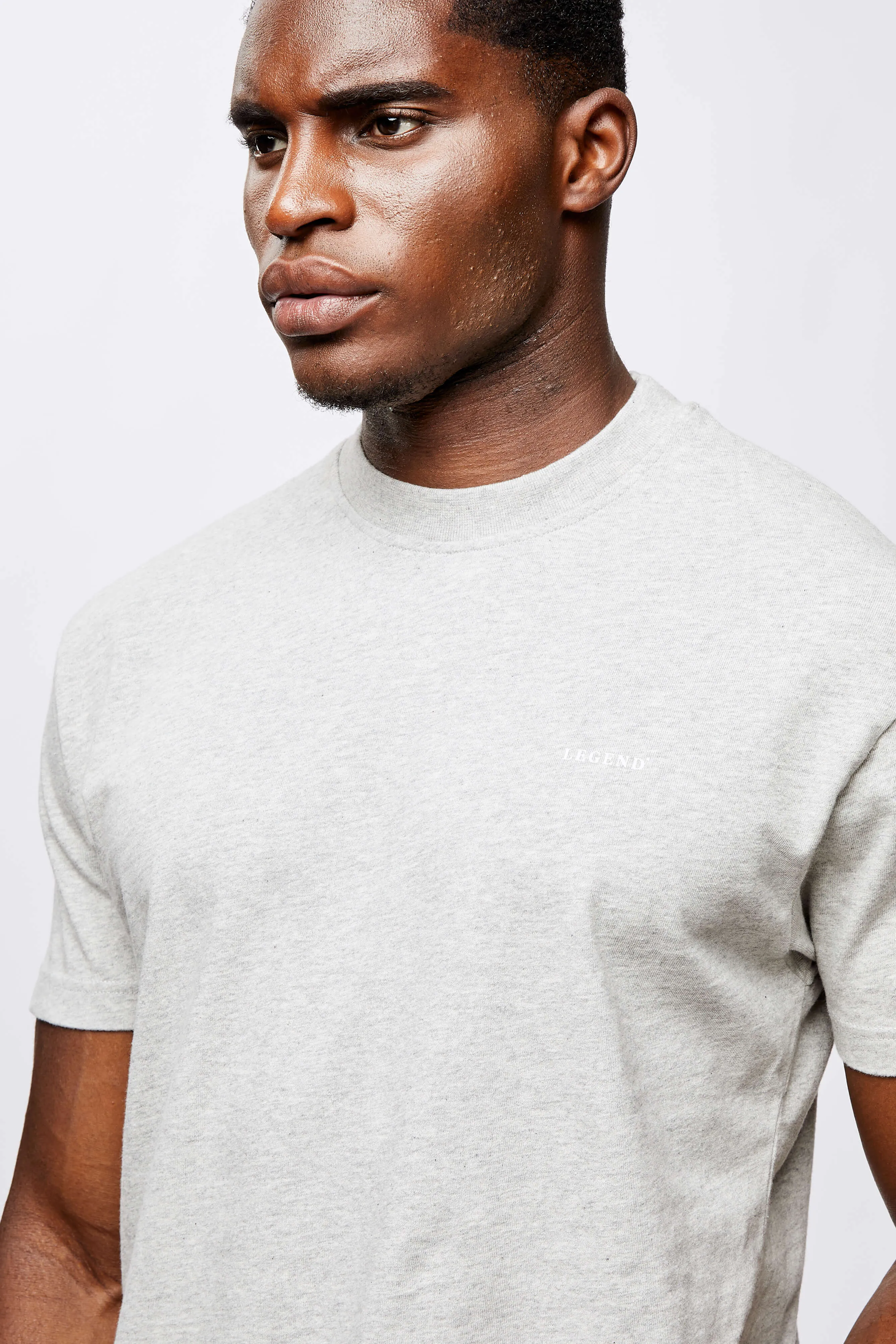 LEGEND* BASICS T-SHIRT - GREY MARL