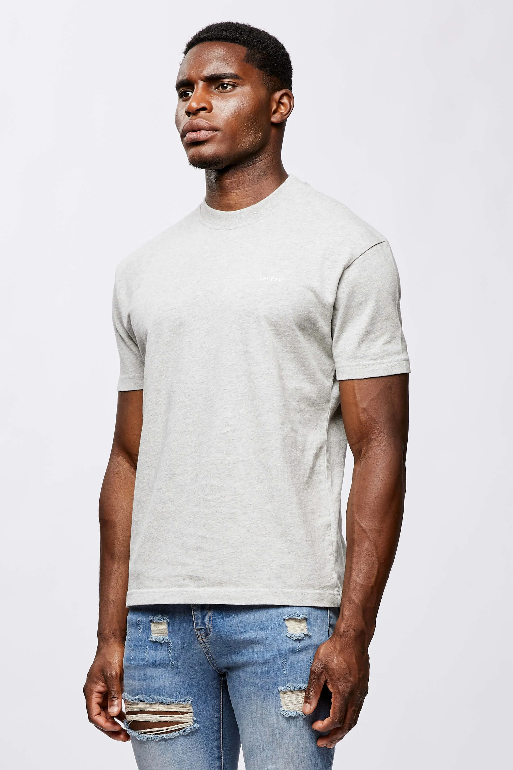 LEGEND* BASICS T-SHIRT - GREY MARL