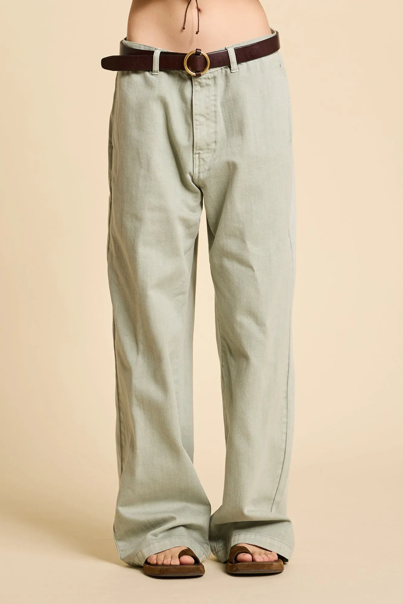 Teri Pant - Mint