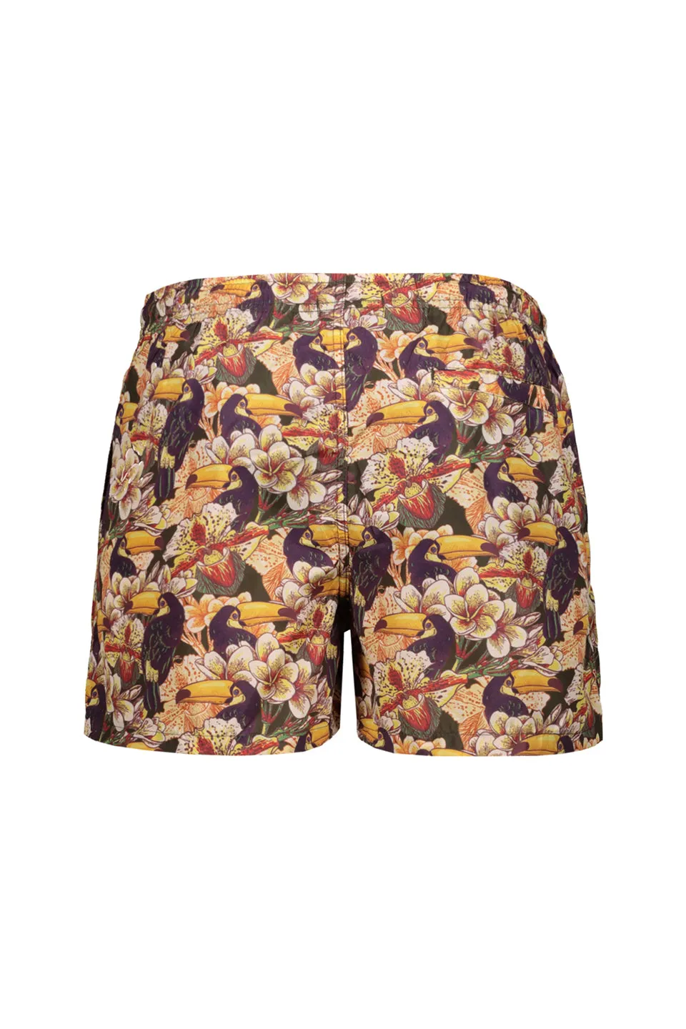 Tucan Print Swim Shorts In Green